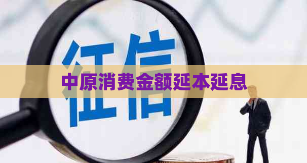 中原消费金额延本延息 中原消费金额延本延息