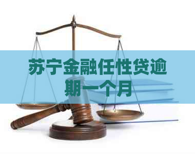 苏宁金融任性贷逾期一个月