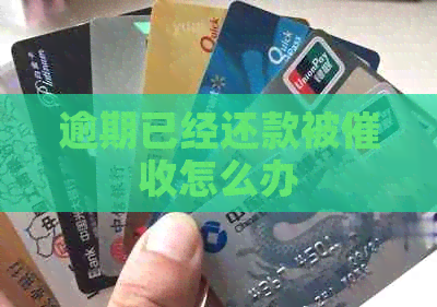 逾期已经还款被怎么办