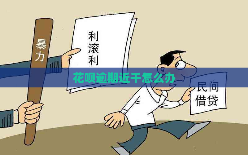 花呗逾期近千怎么办