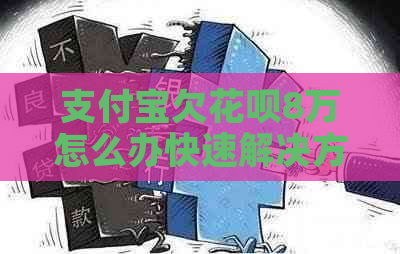 支付宝欠花呗8万怎么办快速解决方法