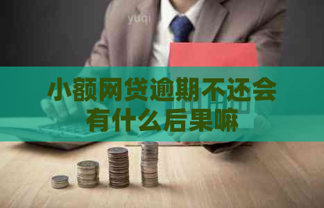 小额网贷逾期不还会有什么后果嘛