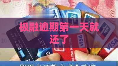 极融逾期之一天就还了