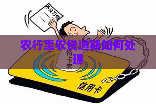 农行惠农贷逾期如何处理