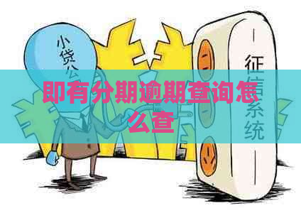 即有分期逾期查询怎么查
