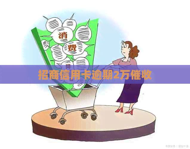 招商信用卡逾期2万