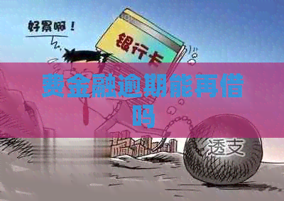 费金融逾期能再借吗