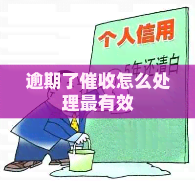 逾期了怎么处理最有效