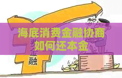 海底消费金融协商如何还本金
