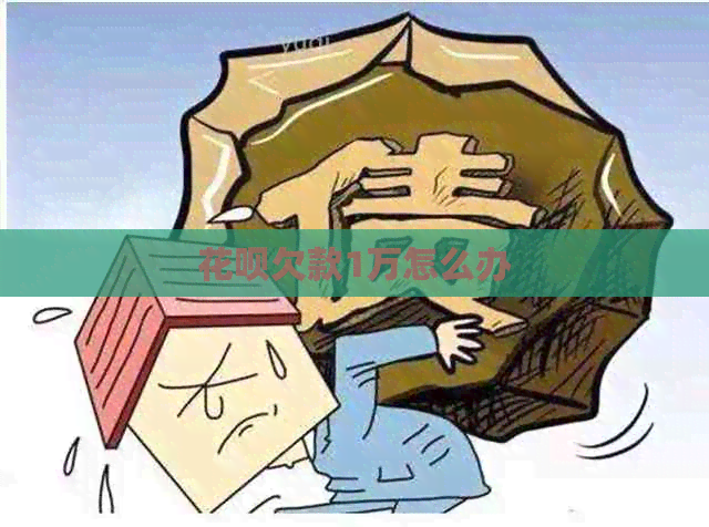 白条欠款1万怎么办