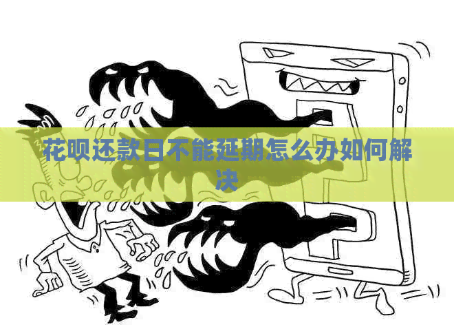 白条还款日不能延期怎么办如何解决