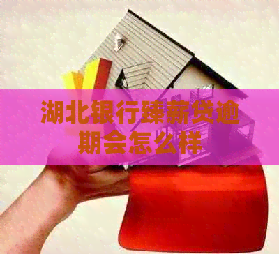 湖北银行臻薪贷逾期会怎么样