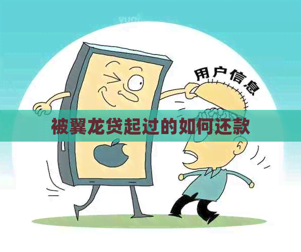 被翼龙贷起过的如何还款