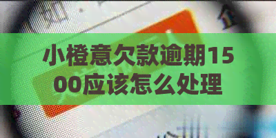 小橙意欠款逾期1500应该怎么处理