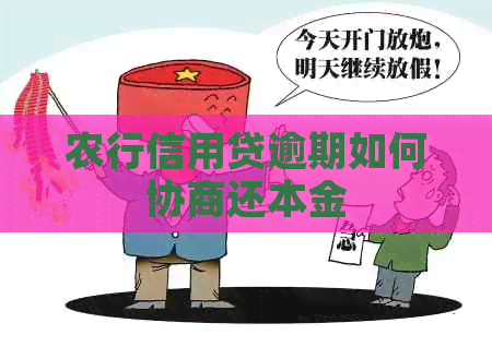 农行信用贷逾期如何协商还本金