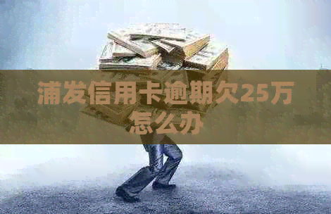 浦发信用卡逾期欠25万怎么办