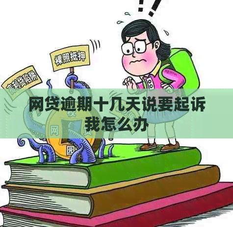 网贷逾期十几天说要起诉我怎么办