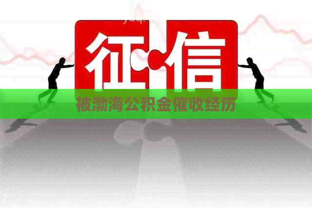 被渤海公积金经历