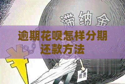 逾期白条怎样分期还款方法