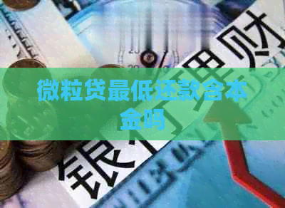 微粒贷更低还款含本金吗