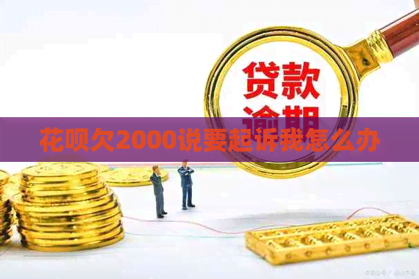白条欠2000说要起诉我怎么办
