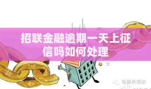 招联金融逾期一天上吗如何处理