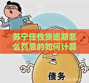 苏宁任性贷逾期怎么罚息的如何计算