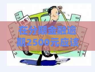 在分期金融逾期2500元应该怎么处理