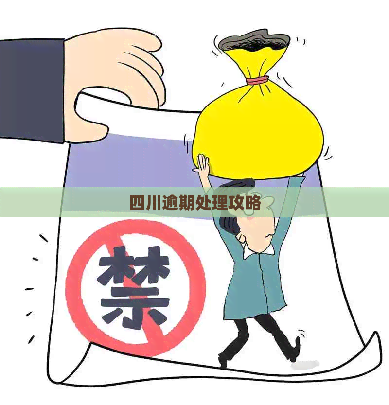四川逾期处理攻略