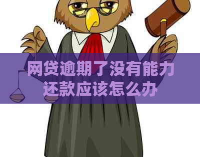 网贷逾期了没有能力还款应该怎么办