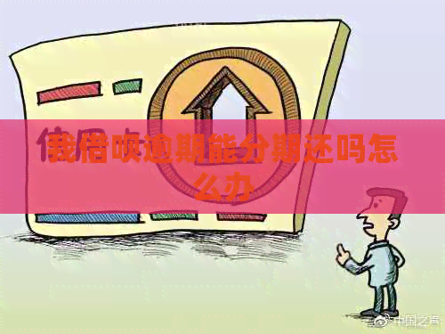 我信用卡逾期能分期还吗怎么办