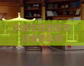 欠苏宁任性贷不还会怎么样