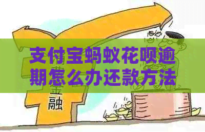 信用卡蚂蚁白条逾期怎么办还款方法