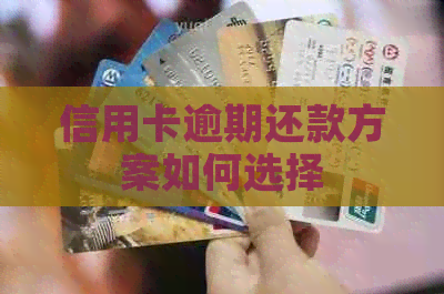 信用卡逾期还款方案如何选择