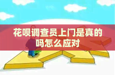 白条调查员上门是真的吗怎么应对
