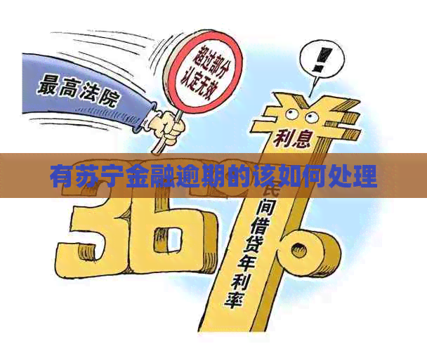 有苏宁金融逾期的该如何处理