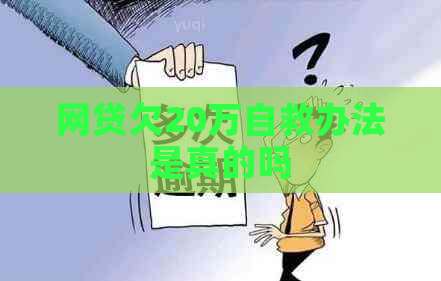 网贷欠20万自救办法是真的吗