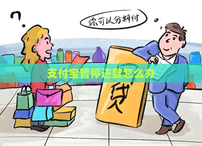 信用卡暂停还款怎么办