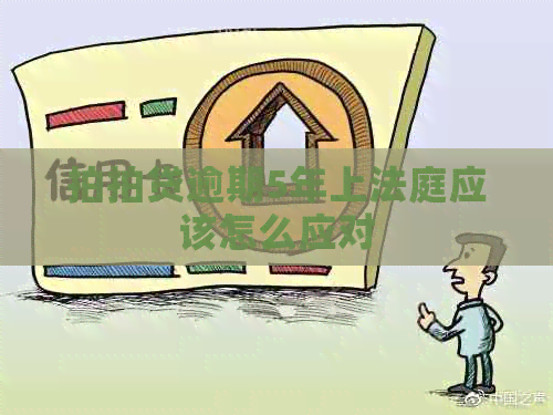逾期5年上法庭应该怎么应对