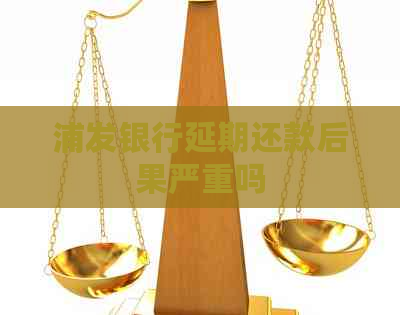 浦发银行延期还款后果严重吗