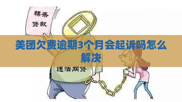 美团欠费逾期3个月会起诉吗怎么解决