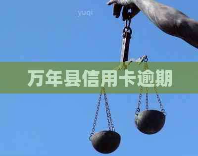 万年县信用卡逾期