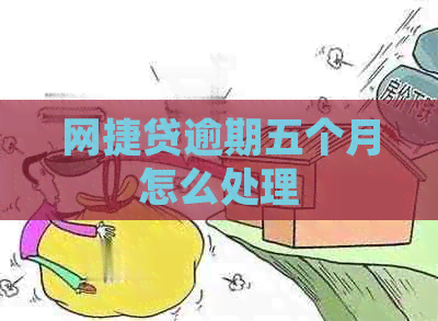 网捷贷逾期五个月怎么处理