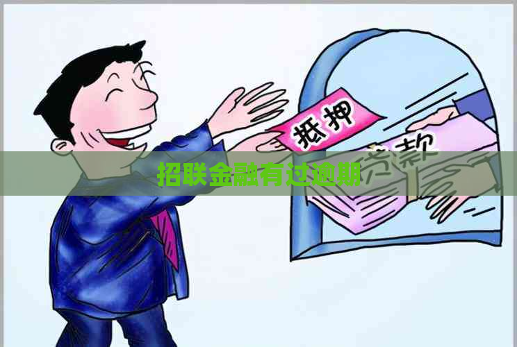 招联金融有过逾期