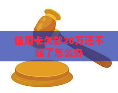 信用卡欠款20万还不起了怎么办