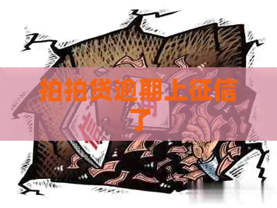 逾期上了