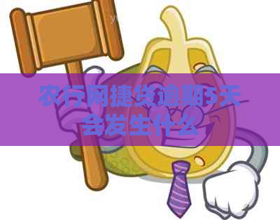 农行网捷贷逾期5天会发生什么