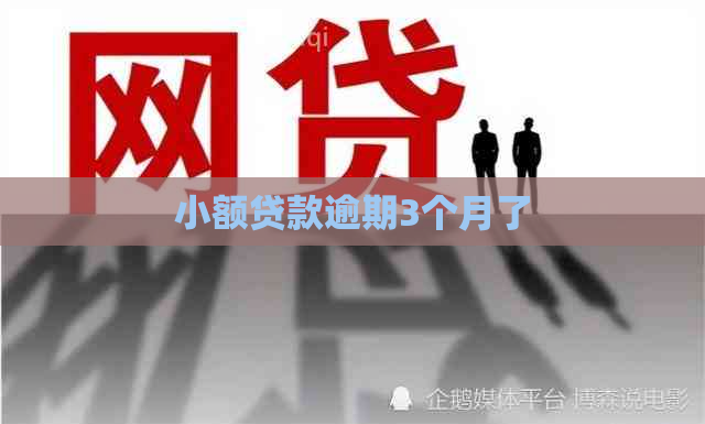 小额贷款逾期3个月了