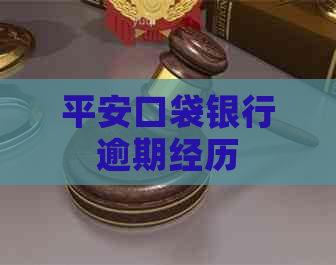 平安口袋银行逾期经历