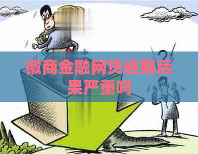 徽商金融网贷逾期后果严重吗